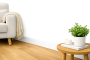Designer (12).png
