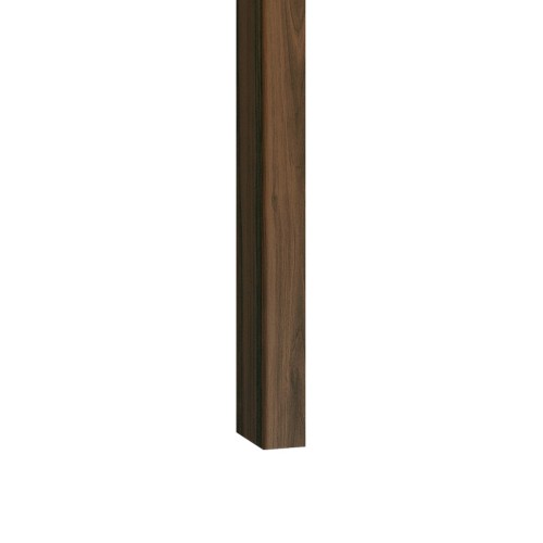 3019.jpg