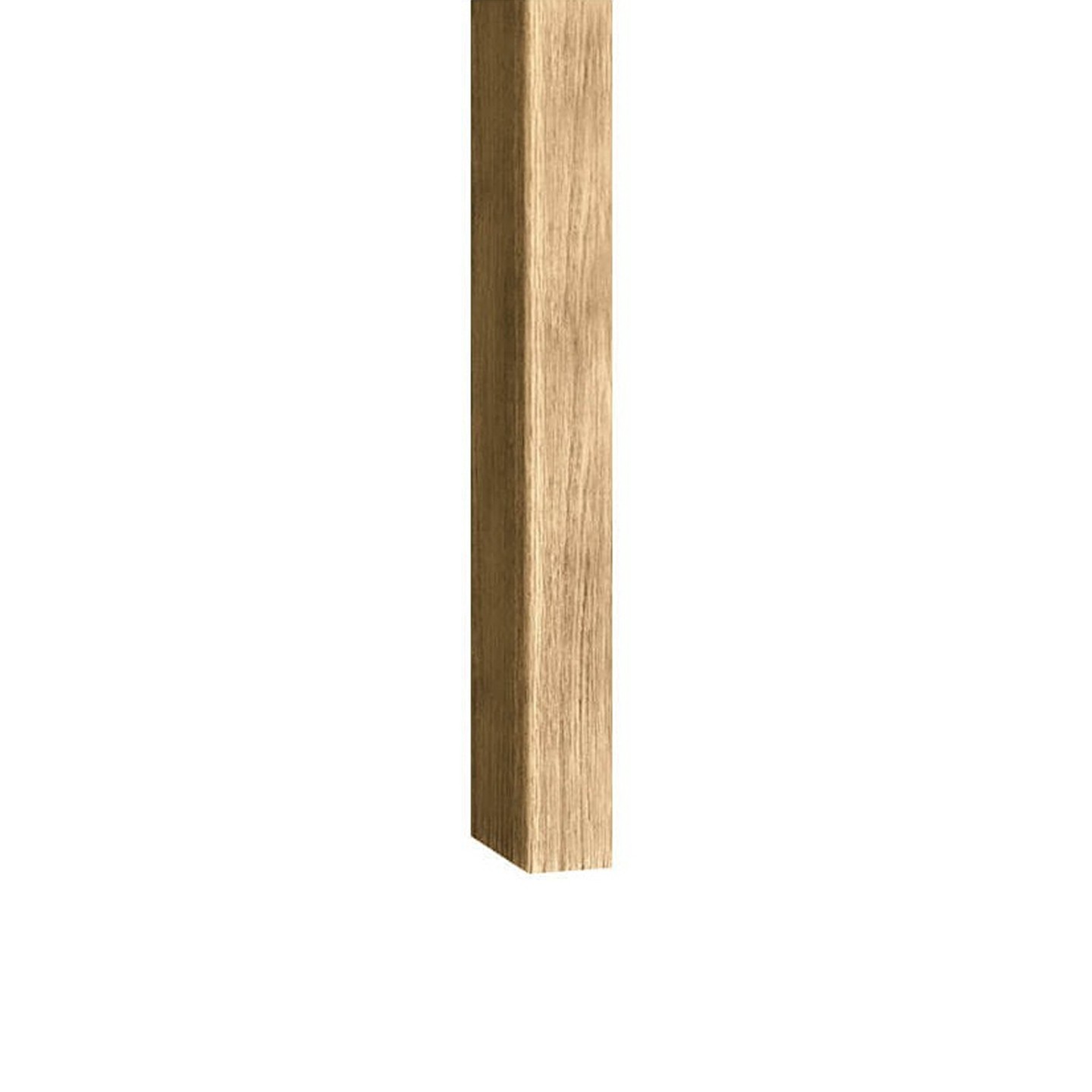 2106.jpg